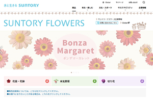 SUNTORY FLOWERS